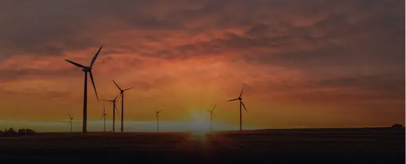 Windpark Zeewolde bij zonsondergang met silhouetten van windturbines.
